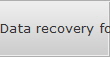 Data recovery for Jersey City data
